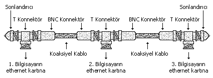 Balantlar