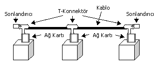 Kuyruk (Bus)